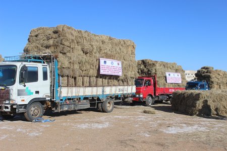 Дундговь аймгийн малчдад 100 тонн өвс үнэгүй тараана