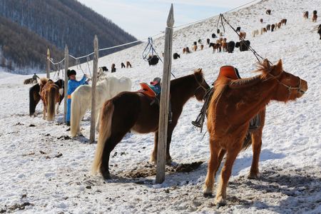 Улсын аваргууд тодорлоо