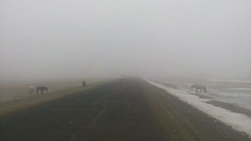 Хойд чиглэлд өтгөн манантай байна