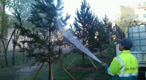 Шилмүүст моддыг угааж байна