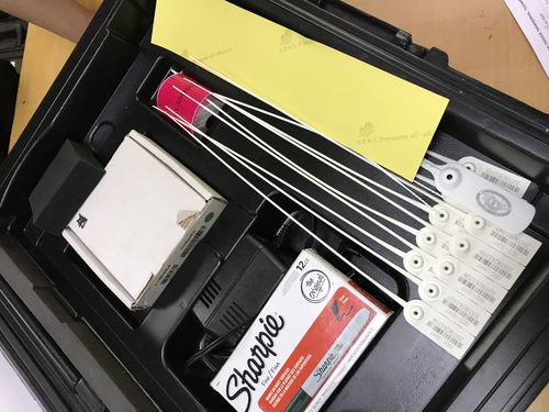 Сонгуулийн техник, технологийн бэлтгэлийг хангаж байна