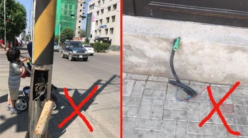Бяцхан үрсэд амьд явах баталгаа ХАЙРЛА