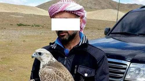 Зөвшөөрөлгүй шонхор шувуу барьсан Араб эрийг саатуулжээ
