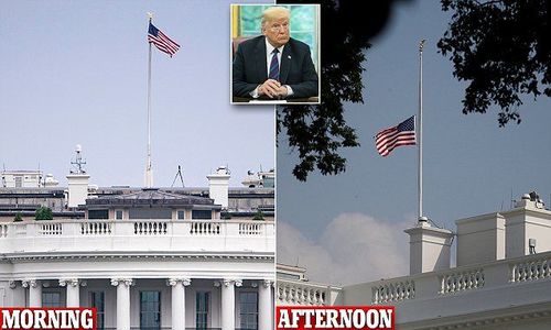 Трамп эцэст нь  Маккейны ардаас ГАШУУДАВ