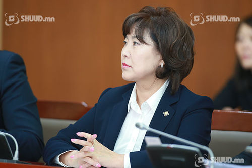 Д.Сарангэрэл: Ямар ч эмнэлгийг хувьчлах асуудал яригдаагүй