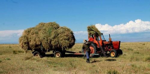 Хадлан тэжээлийн бэлтгэл 89 хувьтай байна