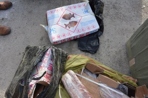 Загас, нугасны махыг хууль бусаар оруулж иржээ