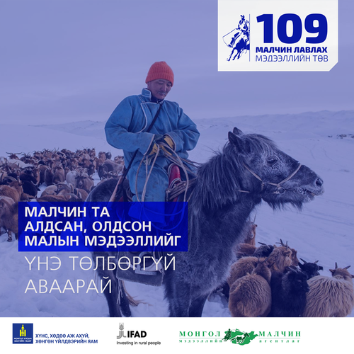 “Малчин лавлах 109” мэдээллийн төв ажиллаж эхэллээ