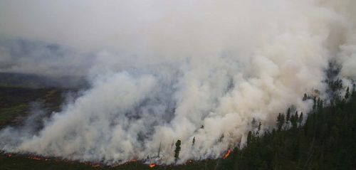 Ой, хээрийн түймрээс урьдчилан сэргийлэх ажлыг эрчимжүүлнэ
