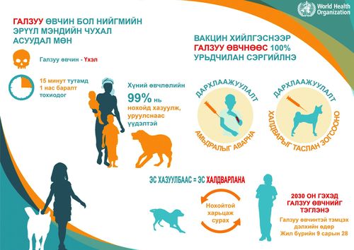 Галзуу өвчний эрсдэлд өртсөн 48 тохиолдол бүртгэгдээд байна