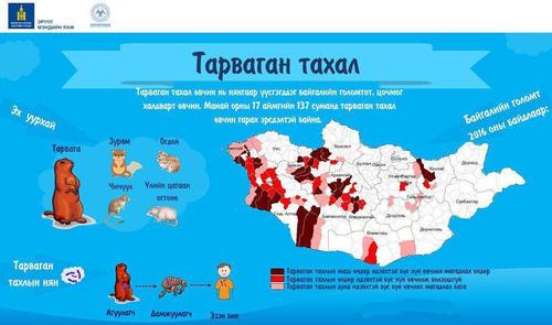 Тарваган тахлын “болзошгүй” тохиолдол бүртгэгдлээ