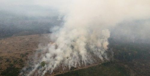 Бразил Амазоны түймрийг унтраахад зориулагдсан тусламж авахад бэлэн 