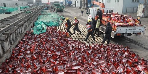 Сайжруулсан түлш авах “Сайн карт” иргэдийн гар  дээр очно