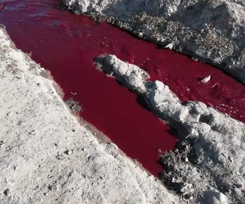 Цэвэрлэх байгууламжийн шугам гэмтсэнээс  халилт үүсчээ
