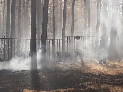 Шаргаморьтод гал гарчээ