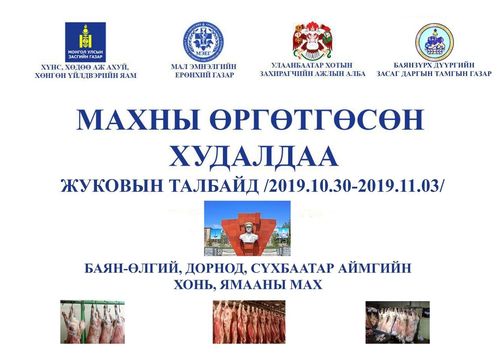 Жуковын талбайд 