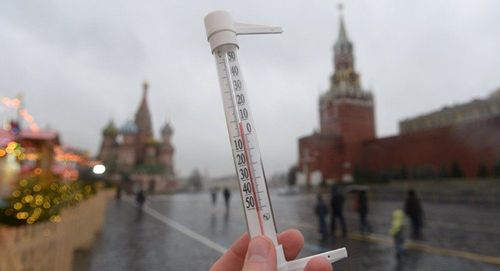 Москвад урьд тохиогоогүй дулаан өвөл болж, эрвээхий сэржээ