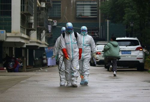 АНЭУ-д титэм вирусийн өвчлөл бүртгэгдлээ