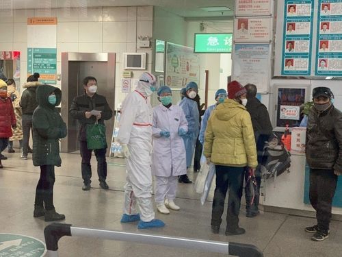 ТИТЭМ ВИРУС: Нас барсан хүний тоо 1016, бүрэн эдгэрсэн хүн 3996 болжээ