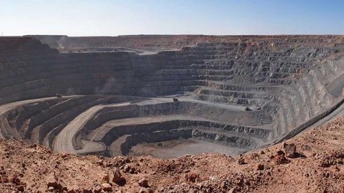Reuters: Титэм вирус 