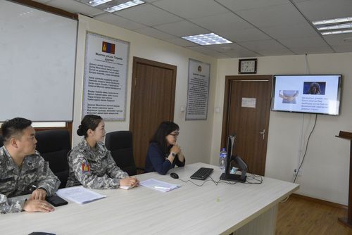 Эмч-сэтгэлзүйч нарын сургалтыг цахимаар зохион байгуулж байна