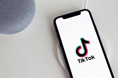 АНУ: Төрийн байгууллагуудад TikTok ашиглахыг хориглов