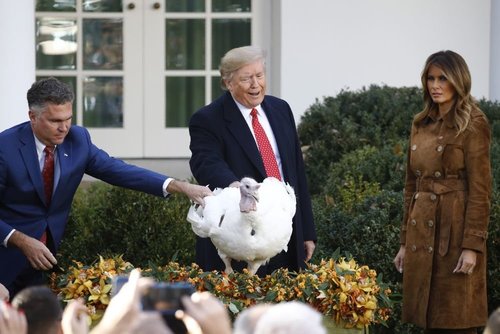 Дональд Трамп цацагт хяруулыг өршөөв