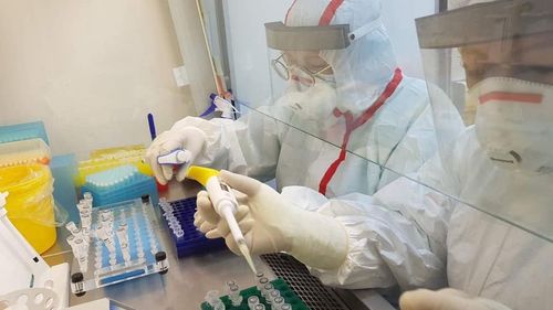 Халдварын тархалтыг тандах, илрүүлэх шинжилгээг сонгогдсон хороодод зохион байгуулна