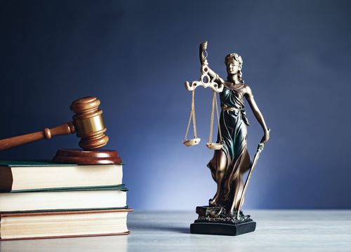 Ерөнхийлөгч Шүүхийн тухай хуулийн асуудлаар Үндсэн хуулийн цэцэд хандах нь зөв үү?