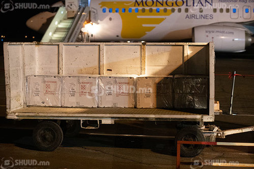 ФОТО: Энэтхэгийн Засгийн газраас бэлэглэсэн 150 мянган тун вакциныг хүлээн авлаа