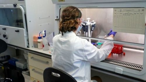 Оксфордод коронавирусийн шинэ штаммаас сэргийлэх вакцины туршилт эхлүүлнэ
