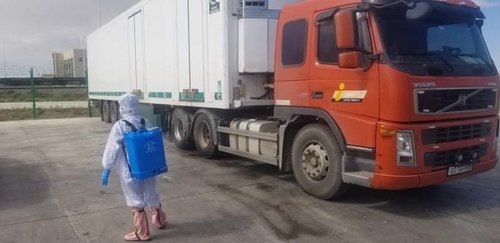 25 тонн тахианы махыг устгажээ 