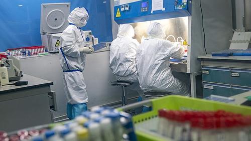 Халдвар буурч, нийслэлд 739, орон нутагт 492 тохиолдол бүртгэгдлээ