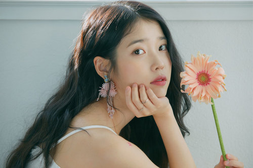 IU-г доромжилсон этгээдийг 3 сая воноор торгожээ
