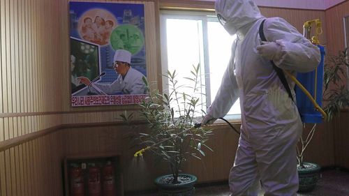 Хойд Солонгосын нийслэлд тав хоногийн хөл хорио тогтоожээ