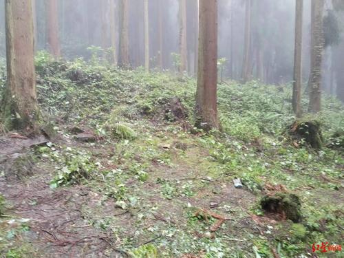 Хятадад нэг дор олон хүн амиа хорлосон хэрэг дахин бүртгэгджээ