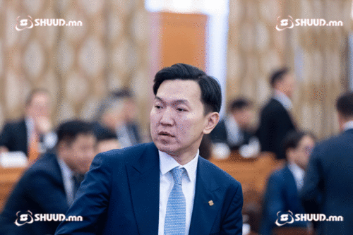 Н.Учрал: Мал малладаггүй, морь уядаггүй уяачид малчдын төлөөлөл гээд УИХ-д ороод ирэх вий