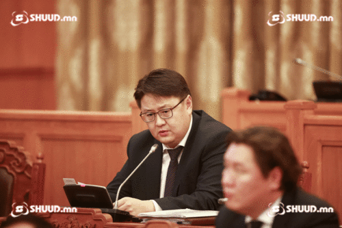 Ш.Раднаасэд: Цэц хууль тогтоох эрх мэдэл рүү халдаж байна