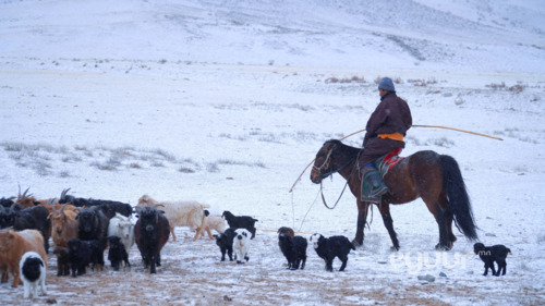 Арваннэгдүгээр сарын цаг агаарын урьдчилсан мэдээ