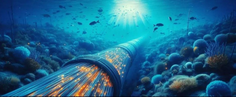 Интернэтийн 95–99% нь хаагуур дамждаг вэ?