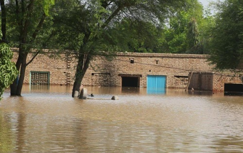 Ази тивд үерийн гамшиг үргэлжилж, олон мянган иргэн өртөв